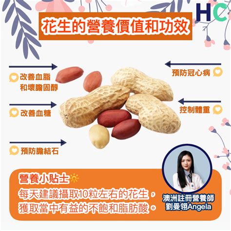 【營養食物】花生的營養價值和功效 Health Concept