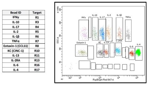 Rayplex Rat Inflammation Bead Array 1 Raybiotech