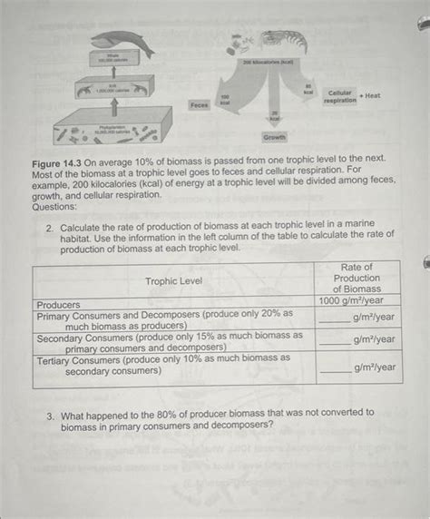 Solved Figure 14.3 On average 10% of biomass is passed from | Chegg.com 