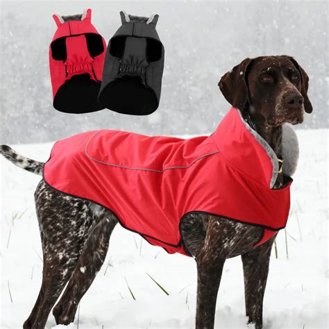 Allergisch Entwurf Rafflesia Arnoldi Hundejacke Fleece Kreischen Kann