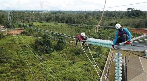 Begini Aksi Pln Pasang Kabel Antar Tower Sutt 150 Kv • Petrominer