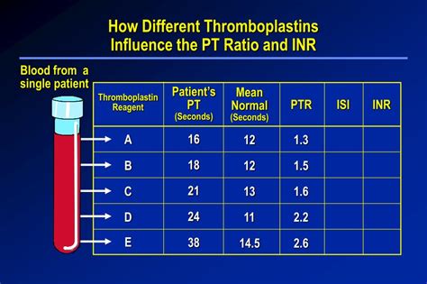 Calculate Inr From Pt Ratio