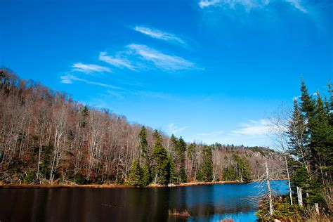 Late Autumn On Bald Mountain Pond Photograph By David Patterson