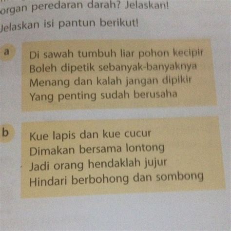 Jelaskan Isi Pantun Berikut Brainly Co Id