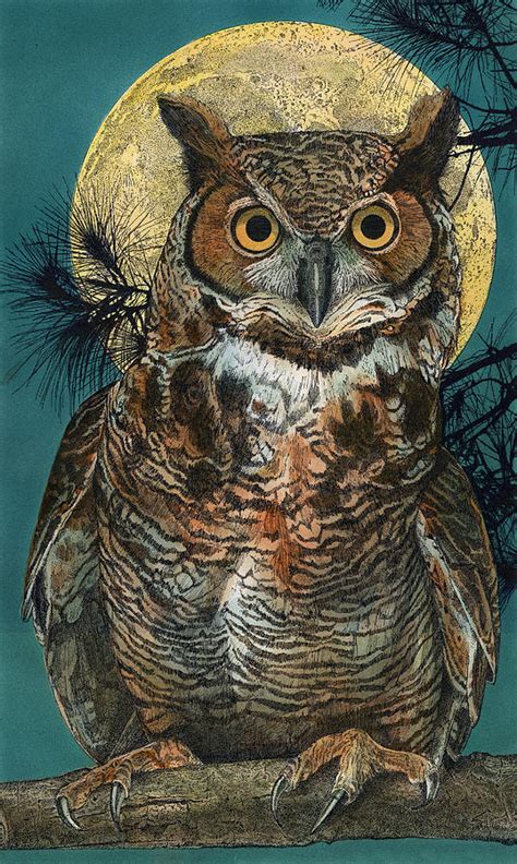 Great Horned Owl Art