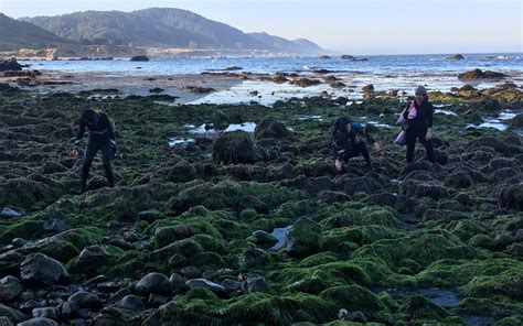 Meet The Women Behind Californias First Open Water Seaweed Farm Sierra Club