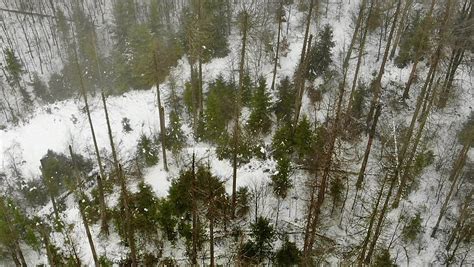 Gegner Gr Nden B Ndnis Gegen B Rgerbegehren Zum Nationalpark Egge Im