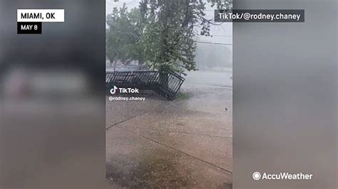 Man Rescues Bird From Hailstorm Video Dailymotion