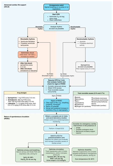 Aha Pediatric Cardiac Arrest Algorithm 2020 Pdf Free