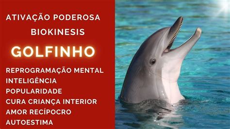 Arquétipo Golfinho YouTube