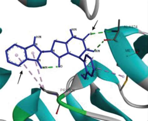 Protein Ligand Interactions Of Target Proteins With Active Compounds