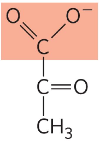 Tricarboxylic Acid Cycle: Structure Flashcards | Quizlet