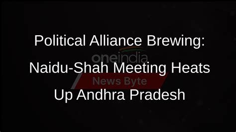 Chandrababu Naidu Meets Amit Shah Amid Alliance Buzz In Andhra Pradesh