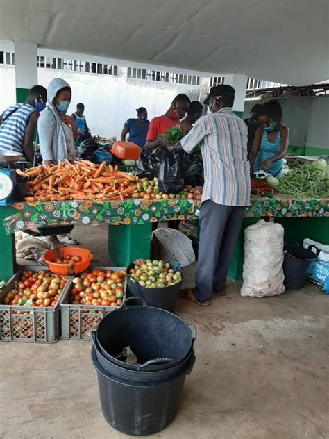 Governo S O Tomense Lan A Campanha Vamos Produzir Para Ter O Que Comer