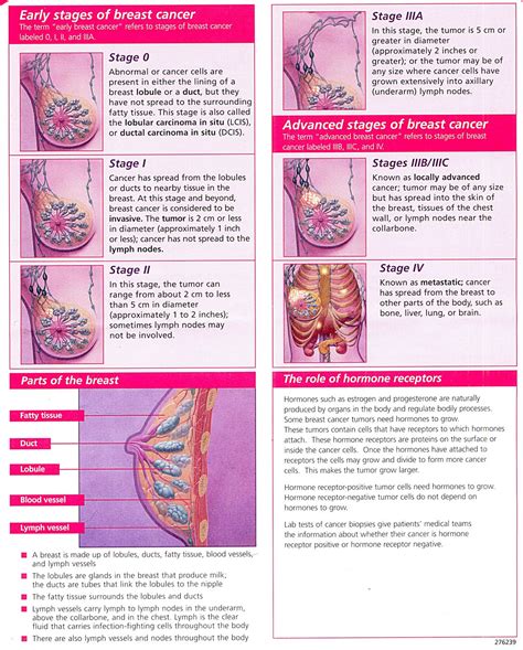 Breast Cancer What Are The 5 Warning Signs Of Breast Cancer What Are The Early Signs Of Breast