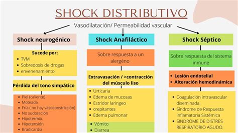 Shock Distributivo Catherine Acosta Celis UDocz