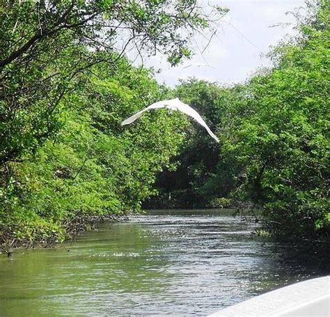 THE 15 BEST Things to Do in Acapulco - 2022 (with Photos) - Tripadvisor