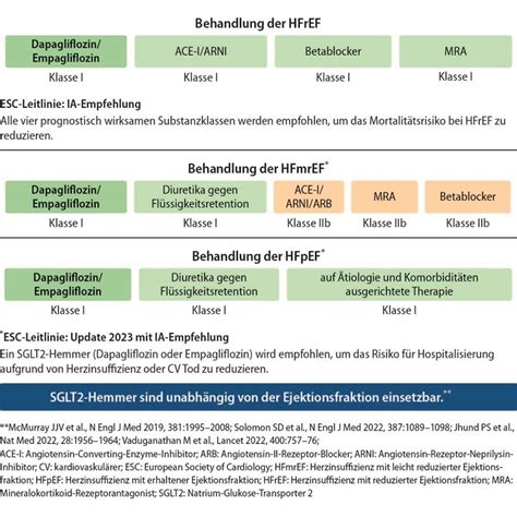 Chronische Herzinsuffizienz In Der Haus Rztlichen Versorgung