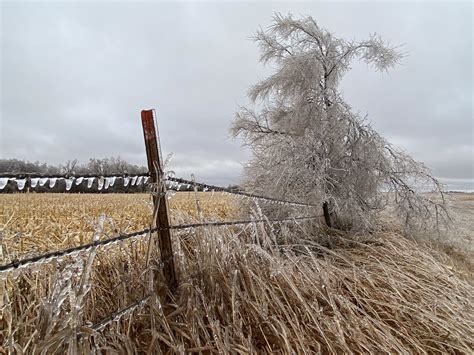 November 9 10 2022 Ice Storm