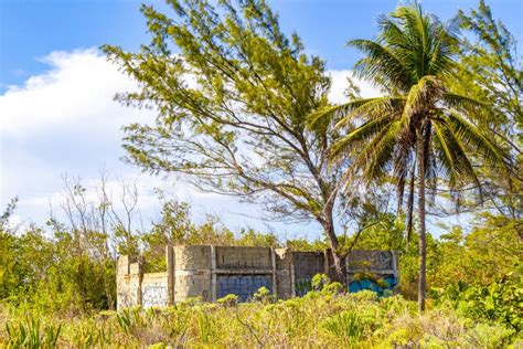 Palm Beach and Ruins in Playa Del Carmen Mexico Stock Photo - Image of ...