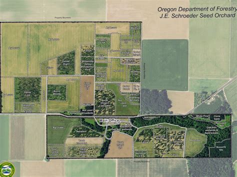 Seed Orchard Plays Vital Role in Keeping Oregon Green - Country ...