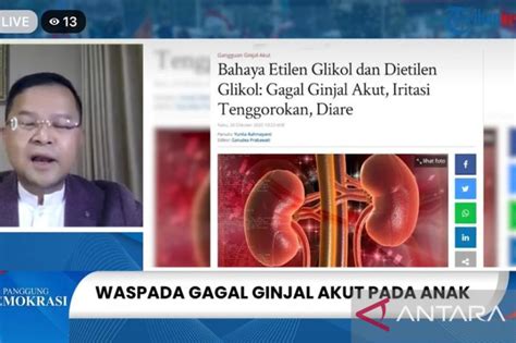 Peneliti Peran Semua Pihak Lebih Optimal Jika Ada KLB Gangguan Ginjal