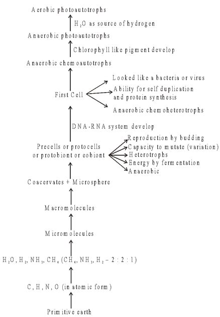 Theories of Origin of Life