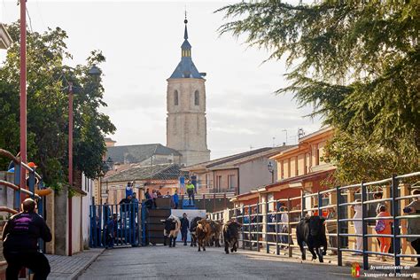 Fiestas De Yunquera De Henares Exitosa Jornada Taurina Con Subida