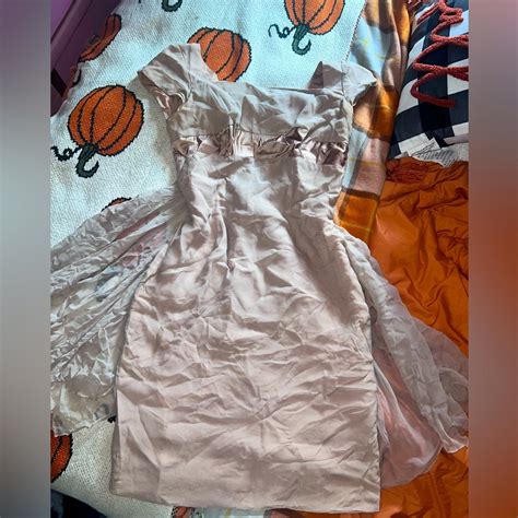 Vintage S Nude Silk And Chiffon Shift Dress Mint Gem