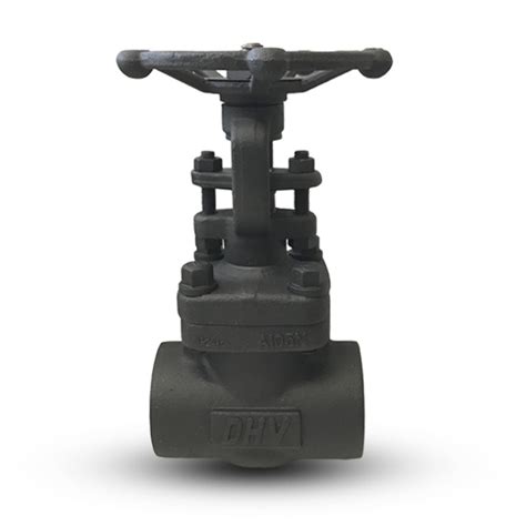 Forged Steel Gate Valve DHV Industries