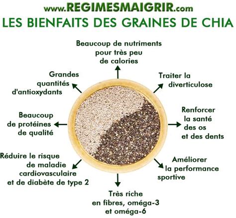 Graines De Chia Bienfaits Sant Et Effets Secondaires Recettes