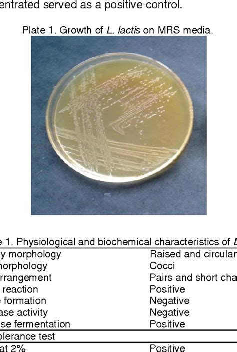 Table 1 From Isolation Of Bacteriocin Nisin Producing Lactococcus