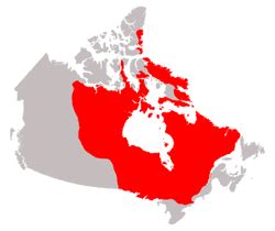 Canadian Shield - Canadian Landform Region's