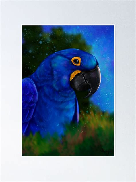 Hyacinth Macaw Poster By Morriganart50 Redbubble