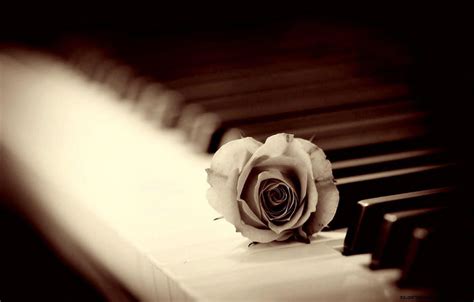 Romantic Piano Romantic Recital Hd Wallpaper Pxfuel