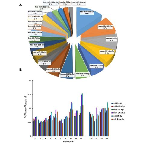 Sweat Metagenomics Most Represented Bacterial Orders In RNA Sequencing