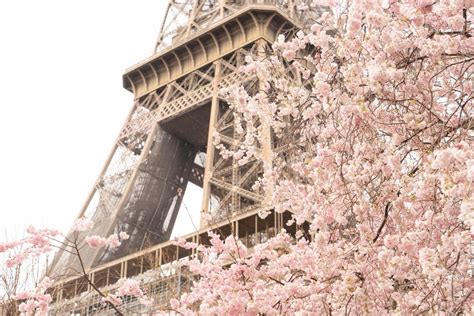 Les musées les plus populaires de Paris découvrez les incontournables