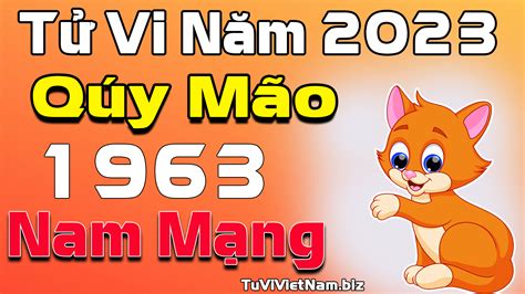 Xem tử vi tuổi Quý Mão 1963 năm 2023 nam mạng Xem hạn tuổi Quý Mão nam