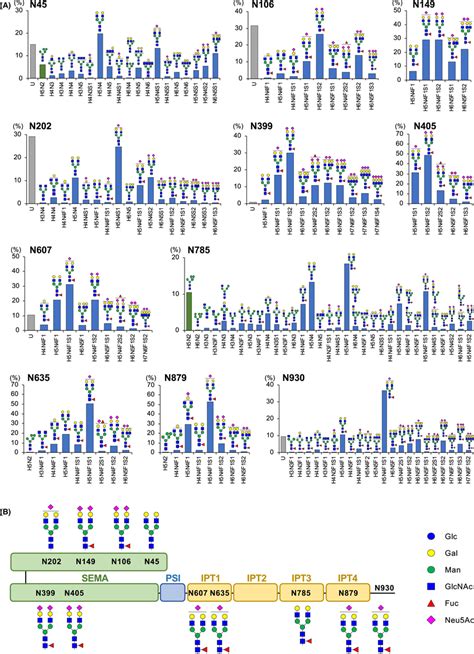 Intensity‐based N‐glycosylation Profile Of Soluble Met Smet