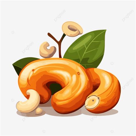 Cashew Clipart Cashew Nuts Isolated Hd Illustration Cartoon Vector