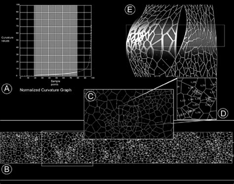 A) A graph showing sampled curvature-values and clamping of the ...