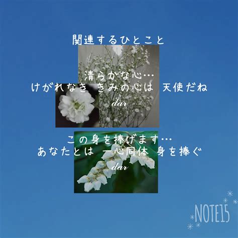 今日の花たち202344 花言葉と関連するひとこと カスミソウ 清らかな心･無邪気･親切･幸福･無垢の愛 アセビ この身を捧げます･犠牲･献身･純粋な心･あなたと二人で旅をしましょう