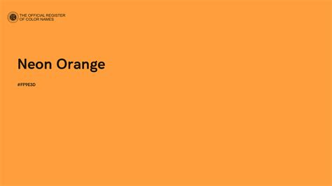 Neon Orange color - #FF9E3D - The Official Register of Color Names