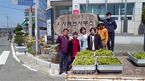 사등면주민자치위원회 수국삽목 2년생 450주 사등면사무소 기증