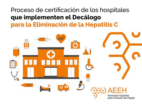 Proceso De Certificación De Los Hospitales Que Implementen El Decálogo Para La Eliminación De La