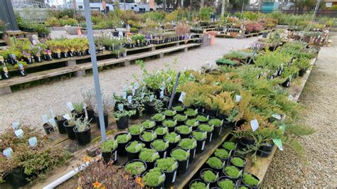 Diaco S Garden Nursery Geelong Whatsbest Australia