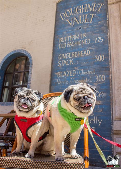 Doughnut Vault | Chicago IL