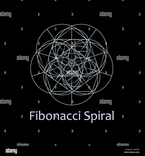 Espiral De Fibonacci Geometria Sagrada Fotograf As E Im Genes De Alta