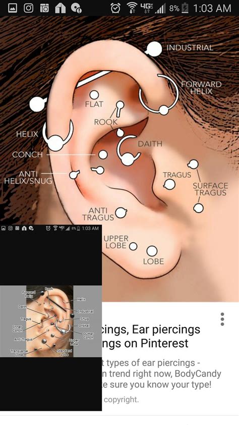 Pin by Katy Tower on Body image | Surface tragus, Types of ear ...