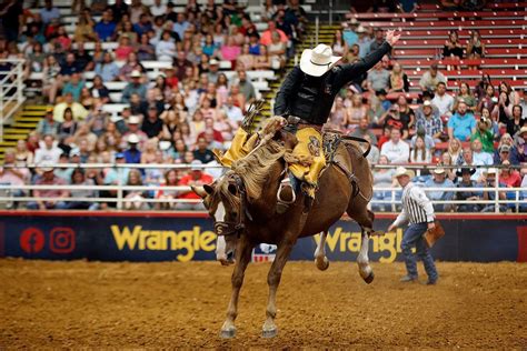 Mesquite Championship Rodeo All Summer Long Bronc Riding Rodeo Bull